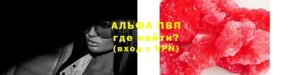 ПСИЛОЦИБИНОВЫЕ ГРИБЫ Семёнов