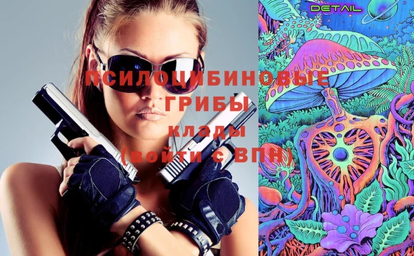 крисы Семикаракорск