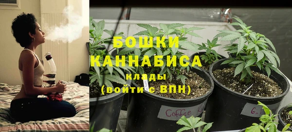ПСИЛОЦИБИНОВЫЕ ГРИБЫ Семёнов