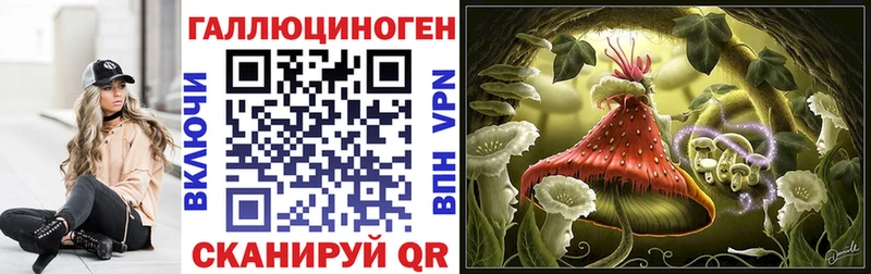 Псилоцибиновые грибы GOLDEN TEACHER  блэк спрут ТОР  Шенкурск 